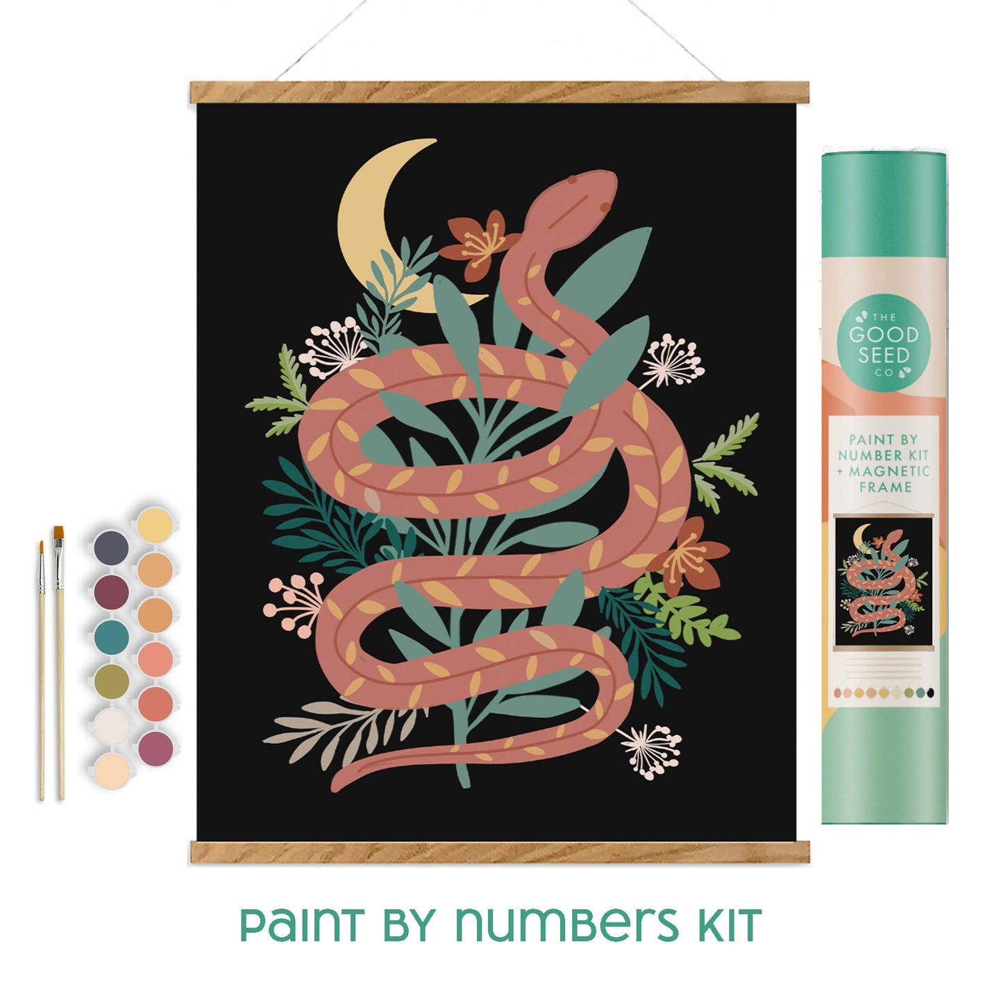 The Good Seed Minimalist Paint-by-Number Kit - Floral Snake