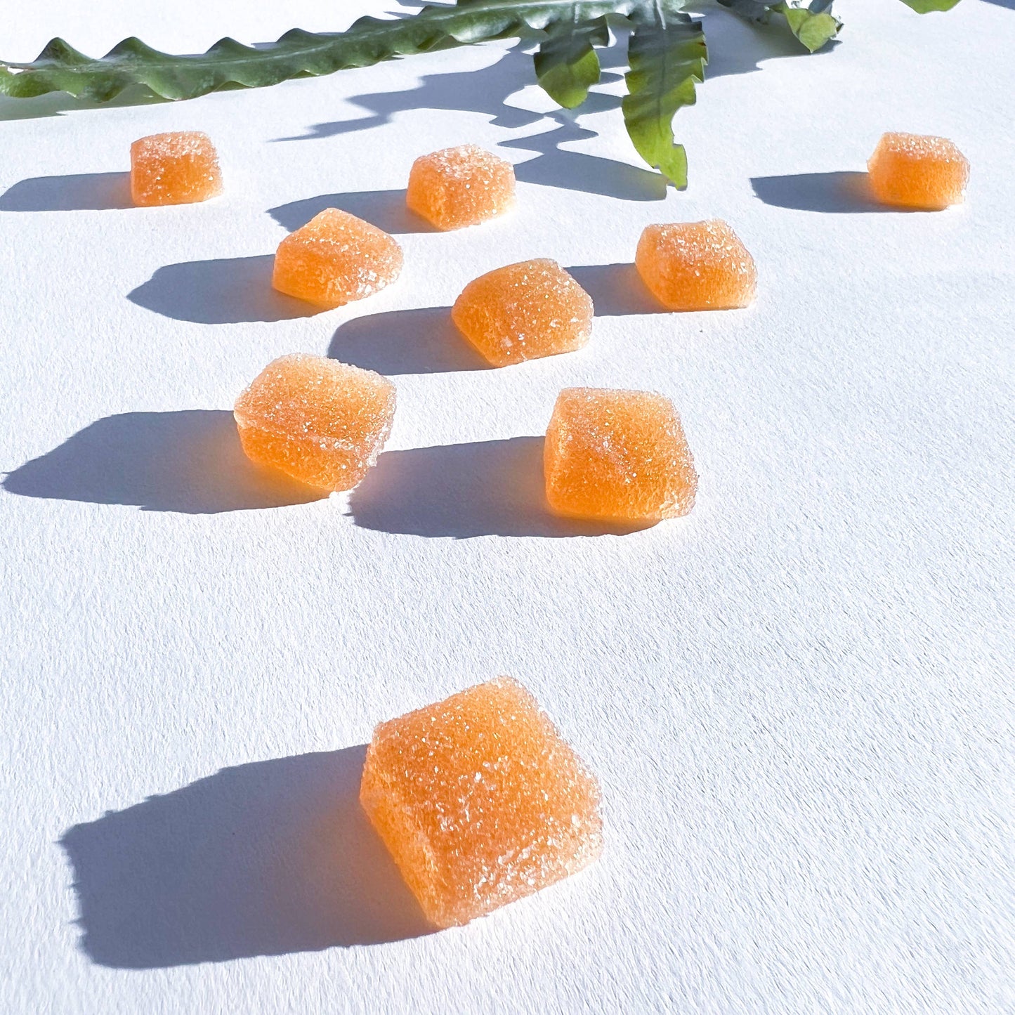 Concentrate Mushroom Gummies / 30 Piece