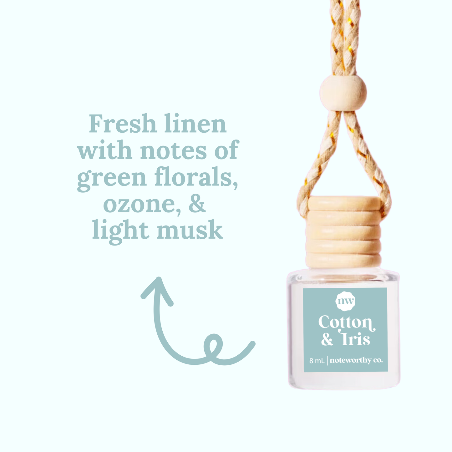 Noteworthy Car Diffusers