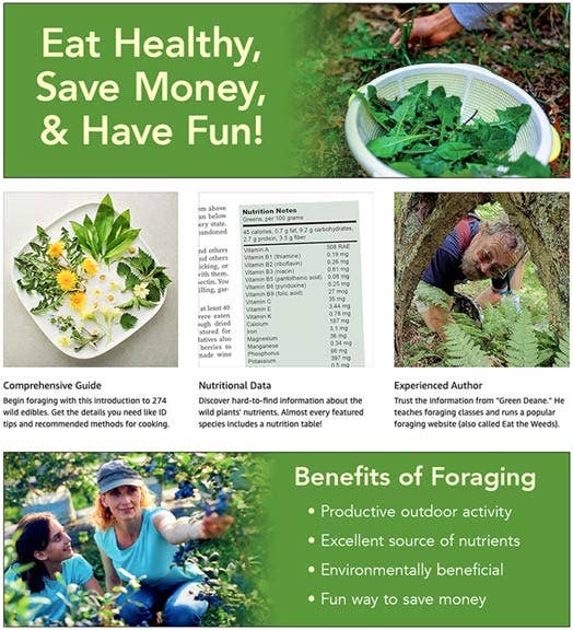 Eat the Weeds: A Forager’s Guide To Wild Foods