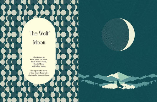 Moon Phases by Cecilia Lattari