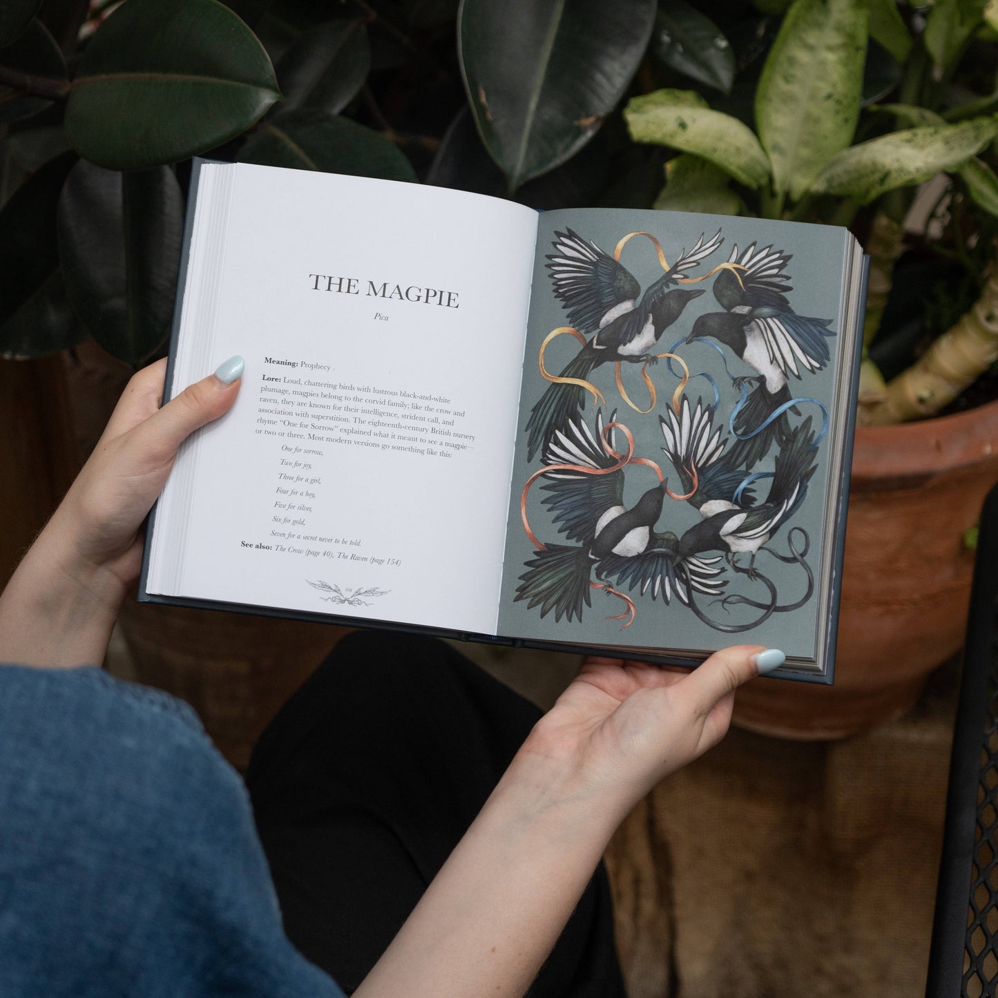 Ornithography by Jessica Roux