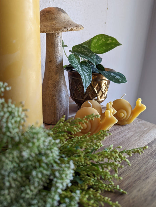 Snail Beeswax Candle