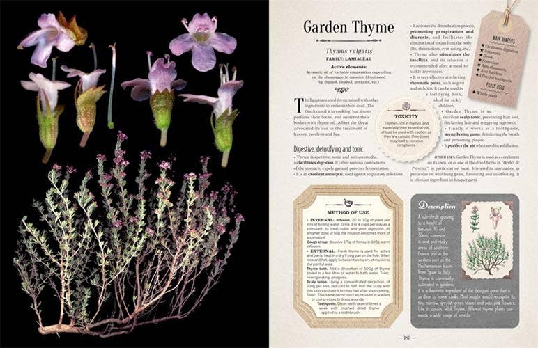 100 Plants That Heal: Illustrated Herbarium Medicinal Plant