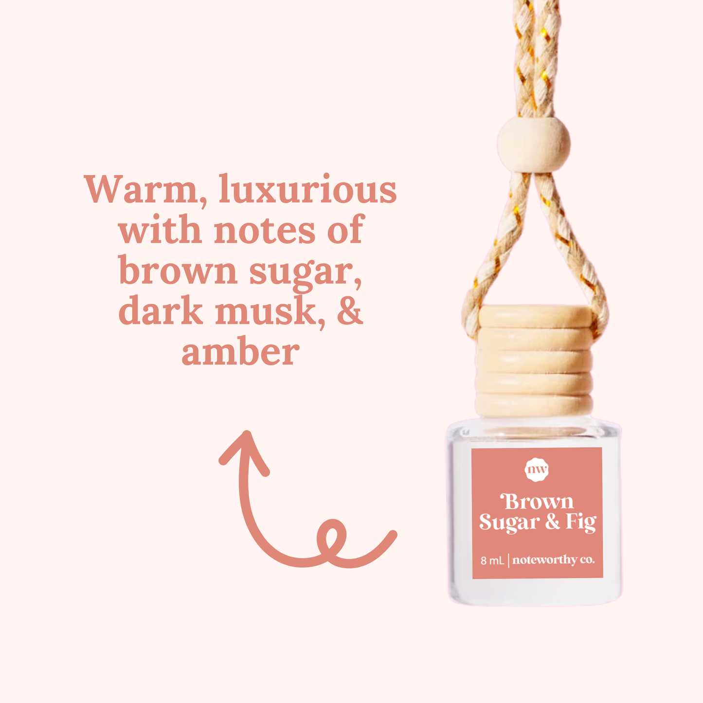 Noteworthy Car Diffusers