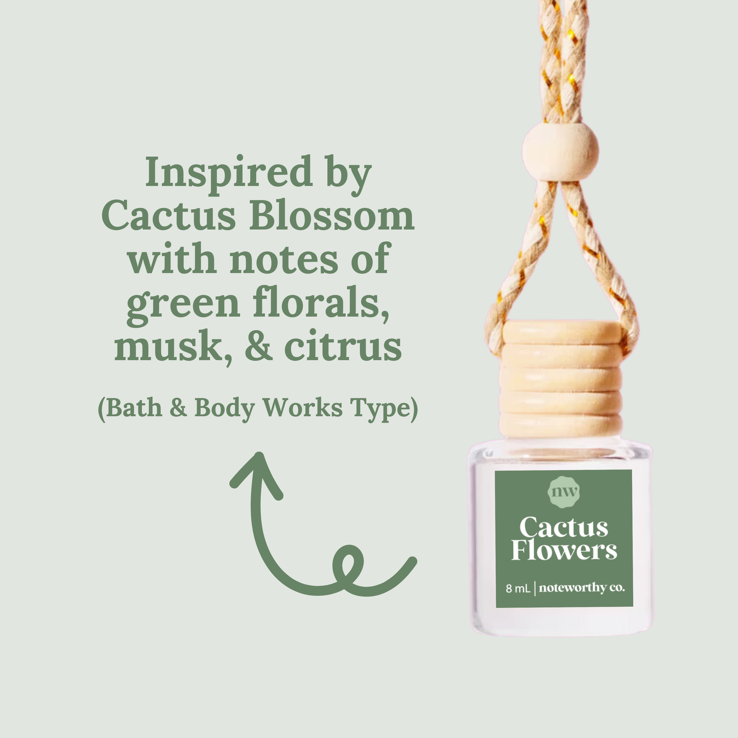 Noteworthy Car Diffusers