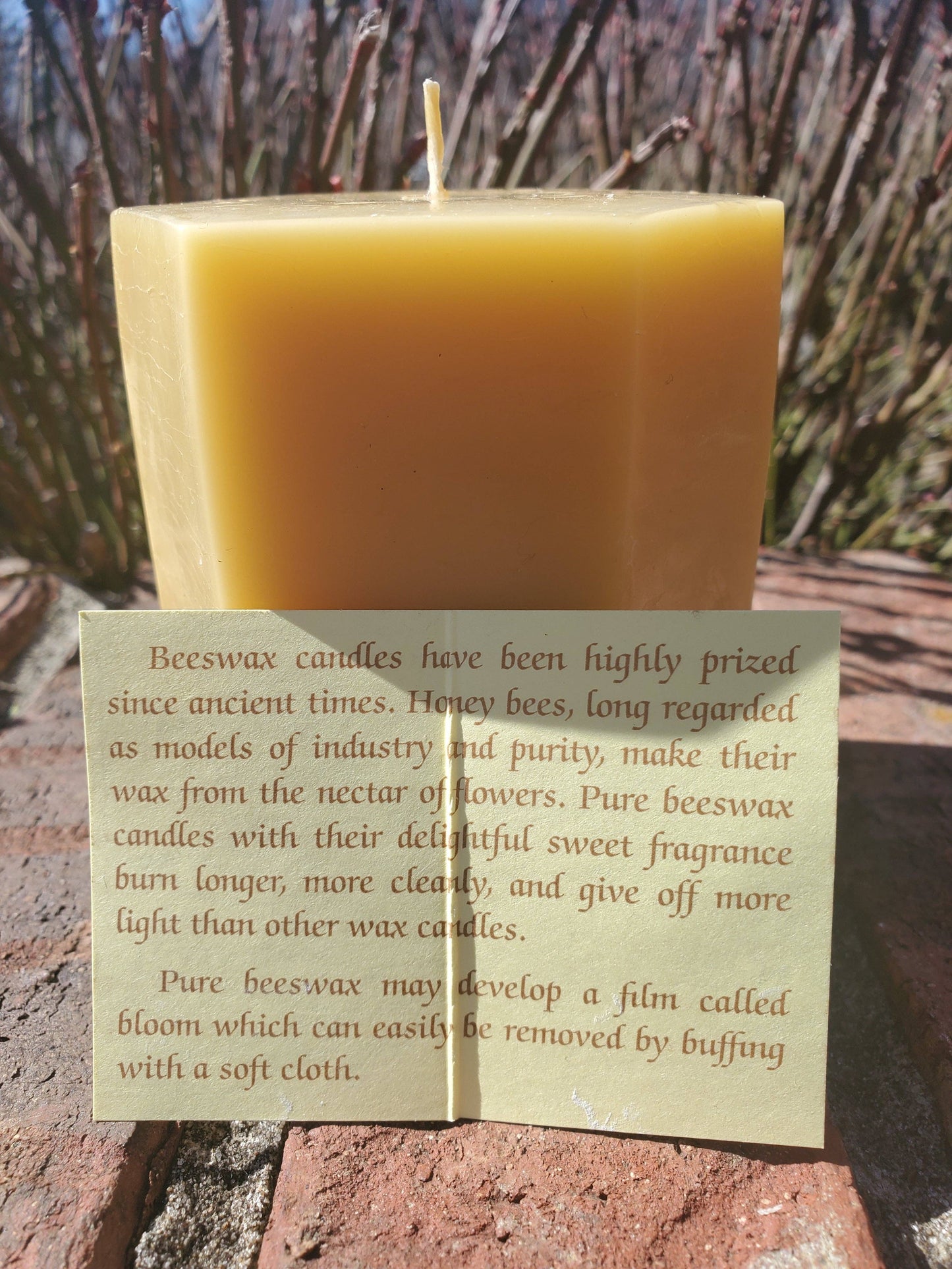 Howling Wolf Beeswax Candle