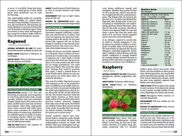 Eat the Weeds: A Forager’s Guide To Wild Foods