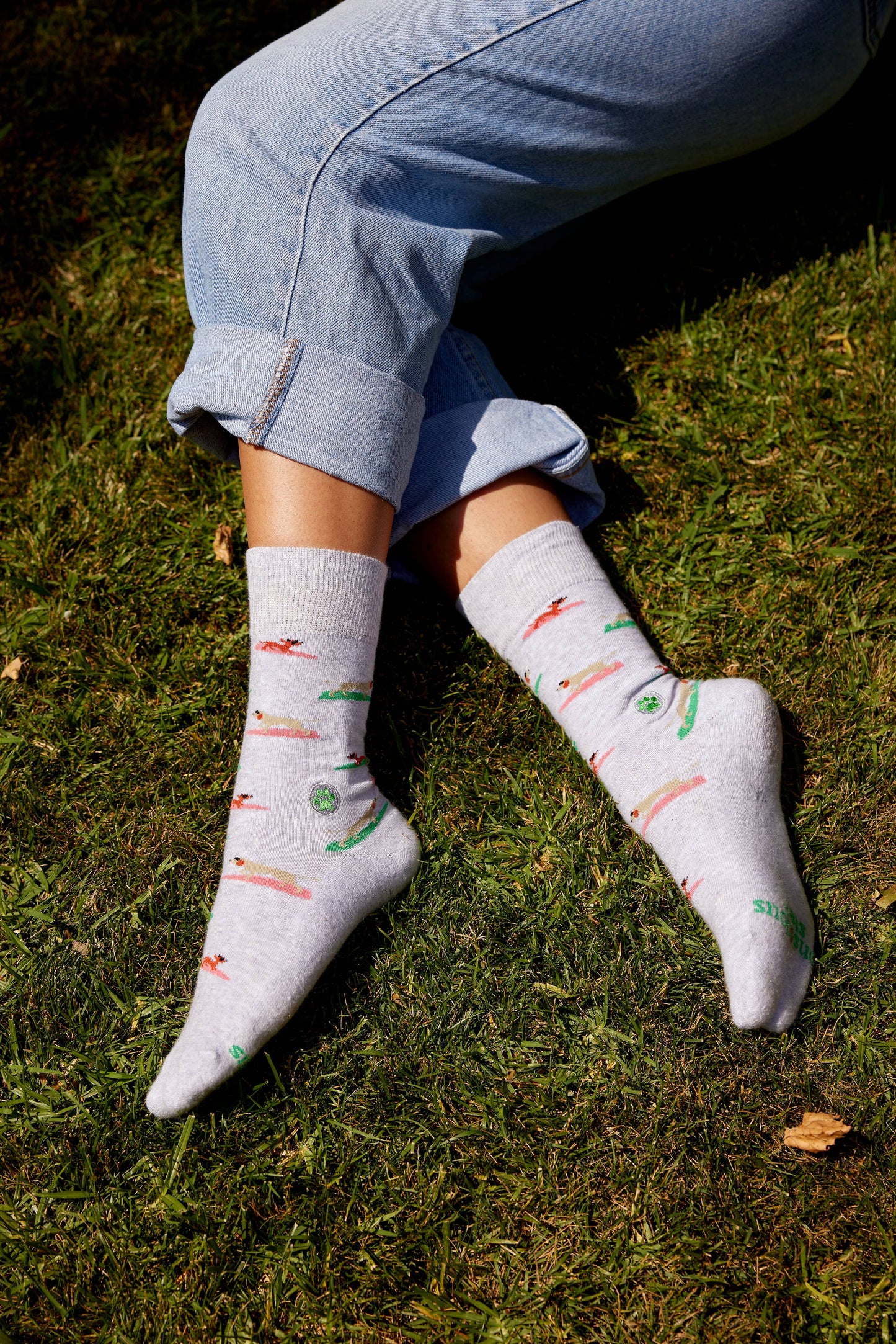 Socks that Save Dogs (Surfing Pups)