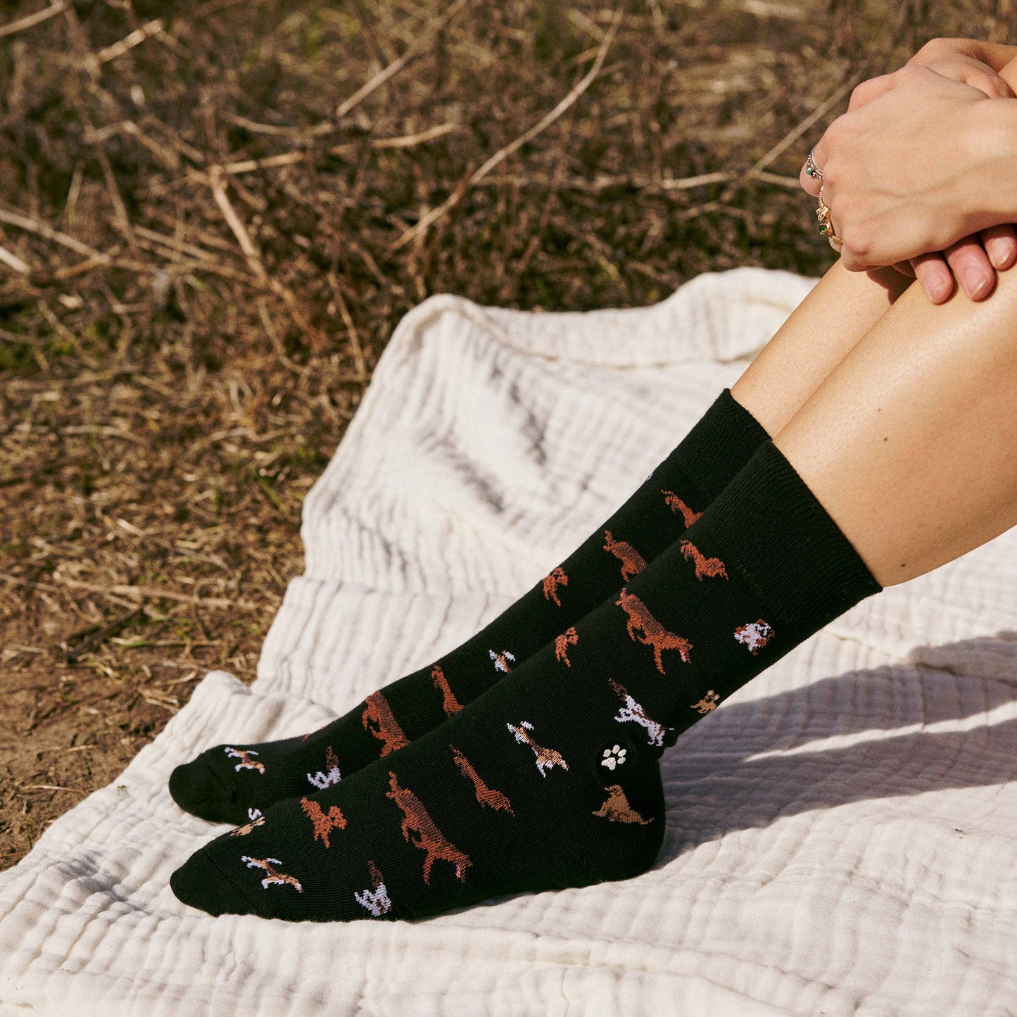 Socks that Save Dogs (Paw Parade)
