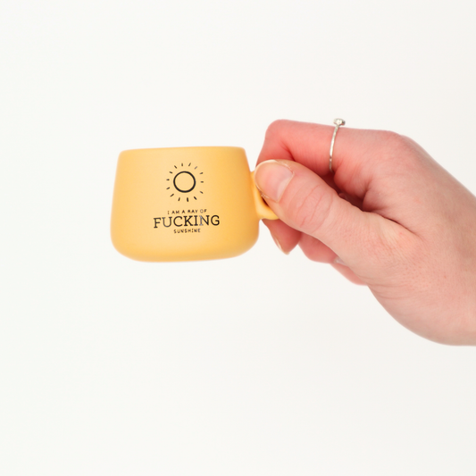 Cappuccino Mug Shot Glass I Am A Ray of Fucking Sunshine