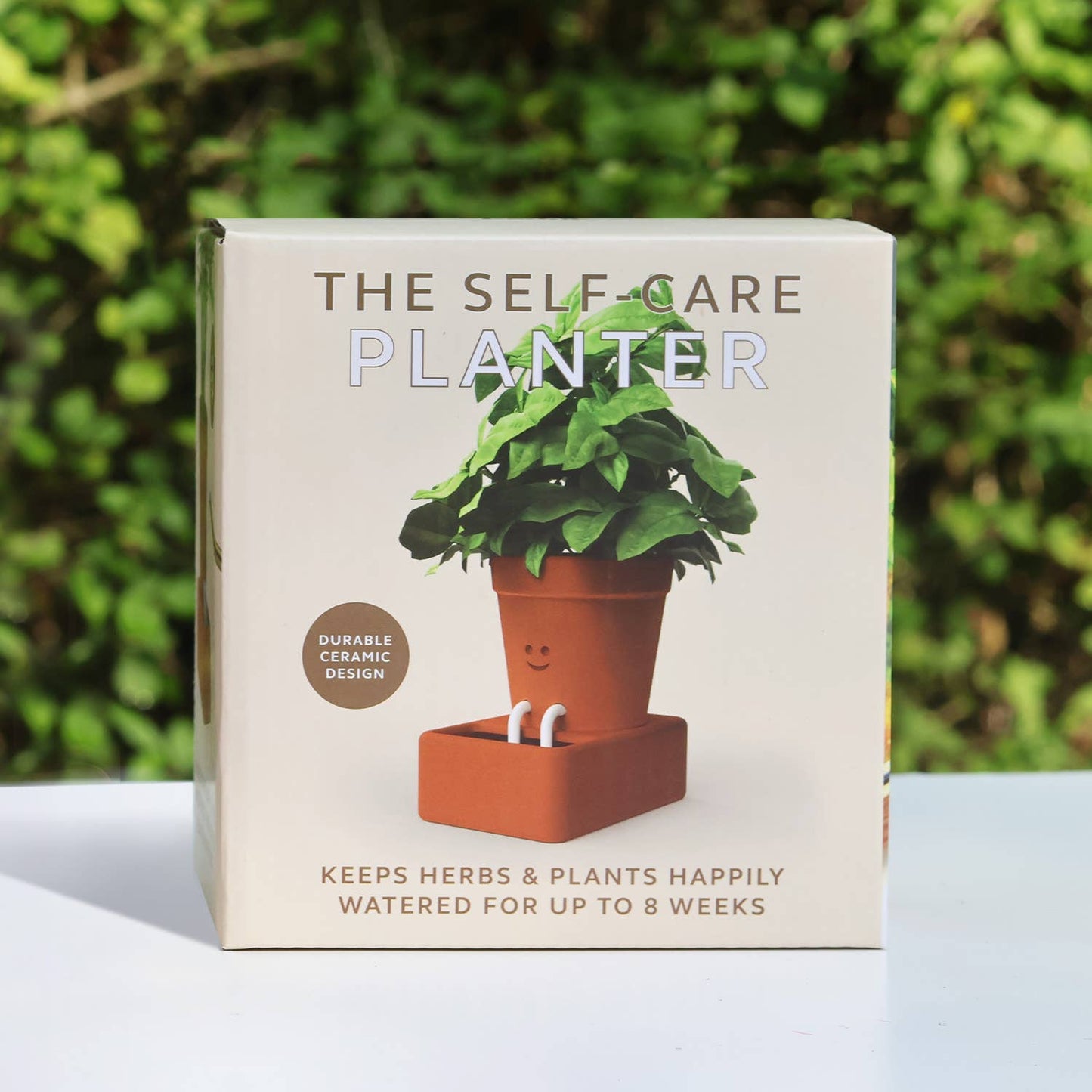 Self Care Planter | Self Watering Plant Pot