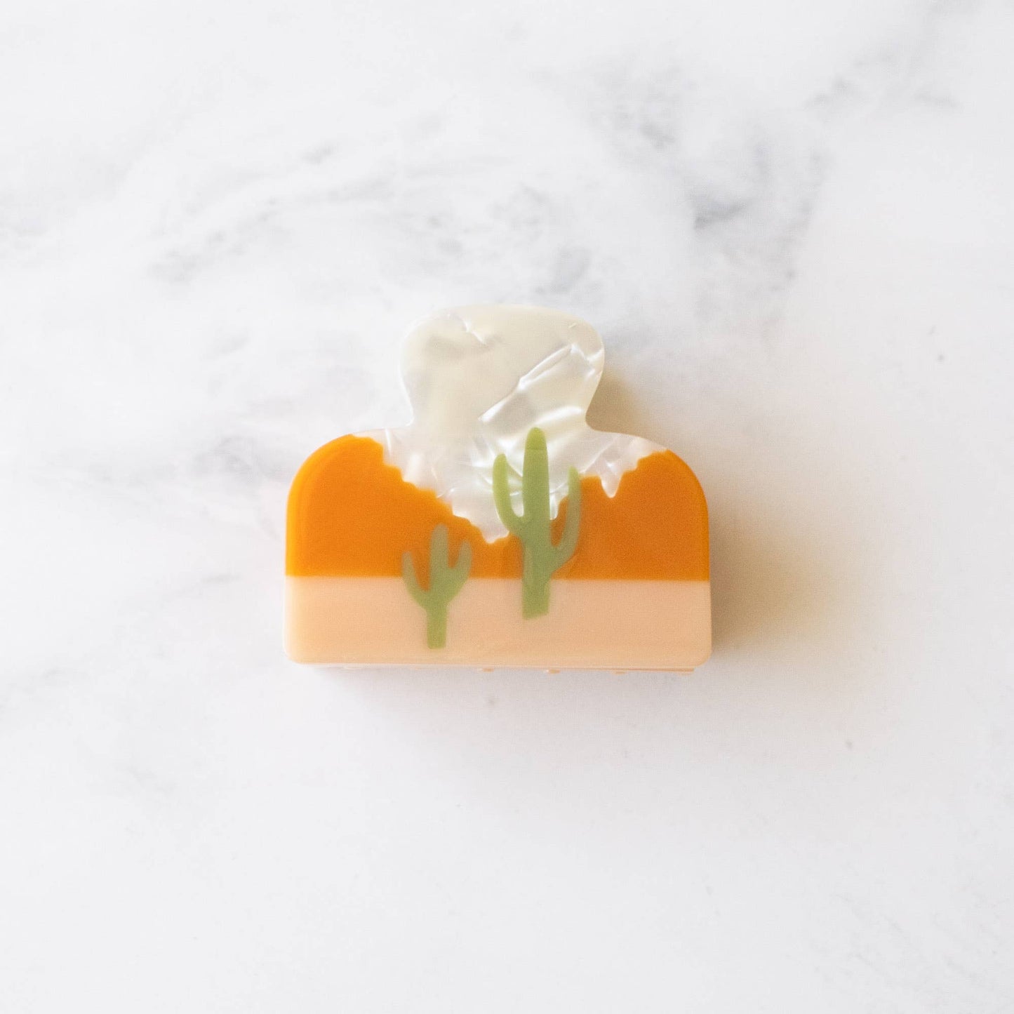 Eco Desert Cactus Hair Claw Clip