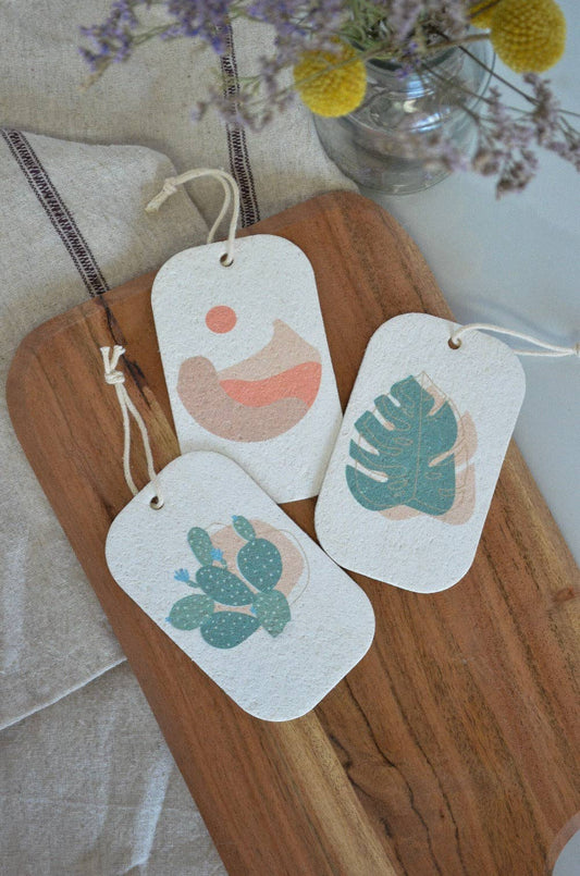 New Designs! Pop Up Dish Sponges 3-Pack