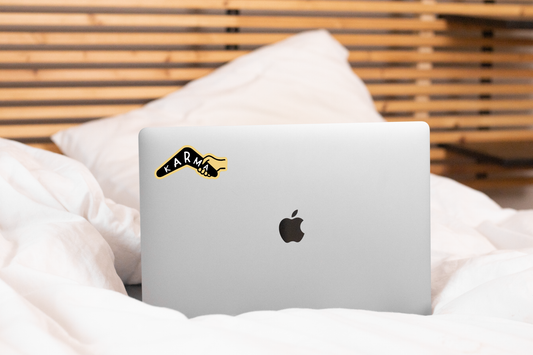 Karma Sticker - boomerang, is a bitch, funny, cute, snarky