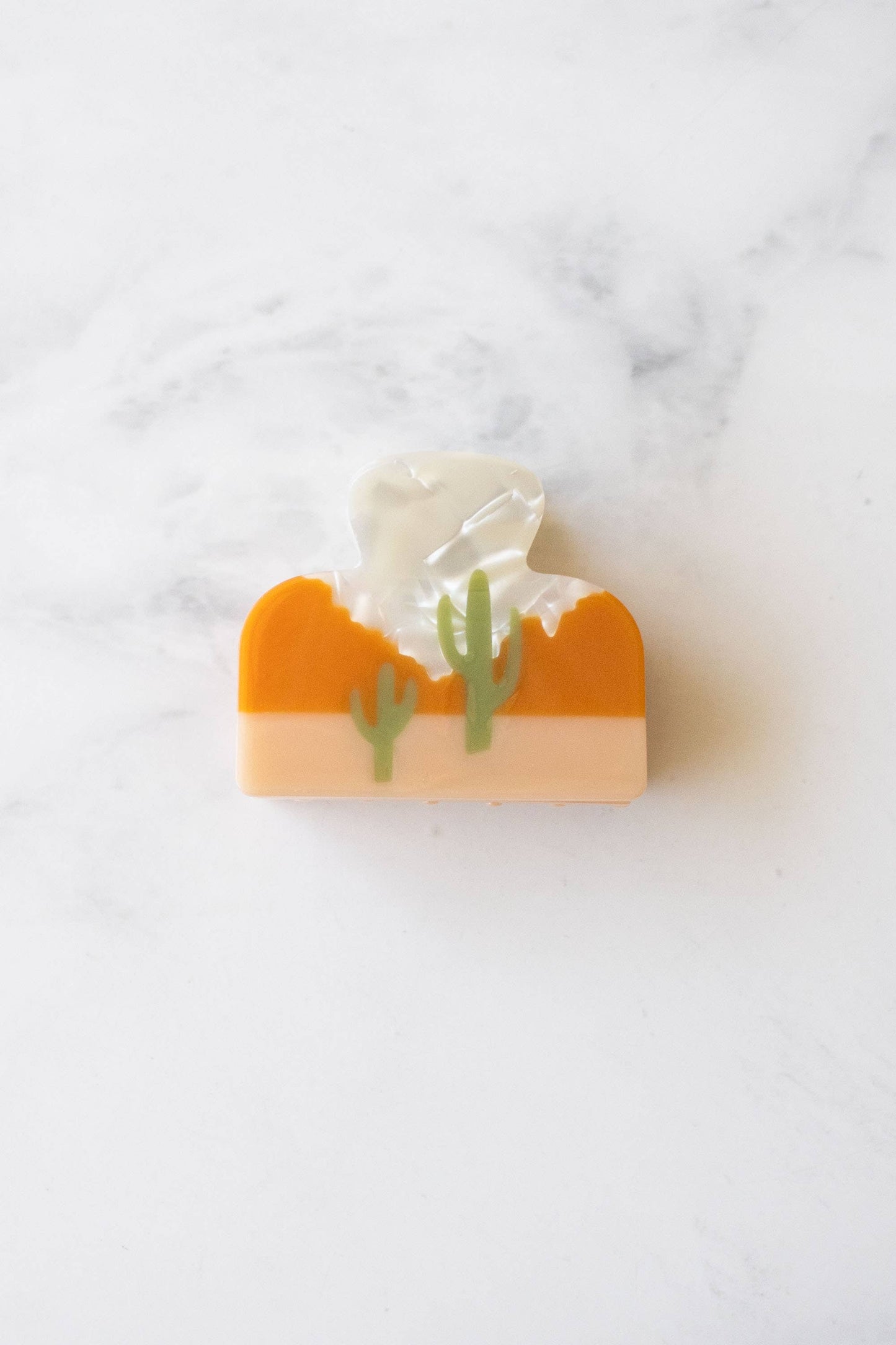 Eco Desert Cactus Hair Claw Clip