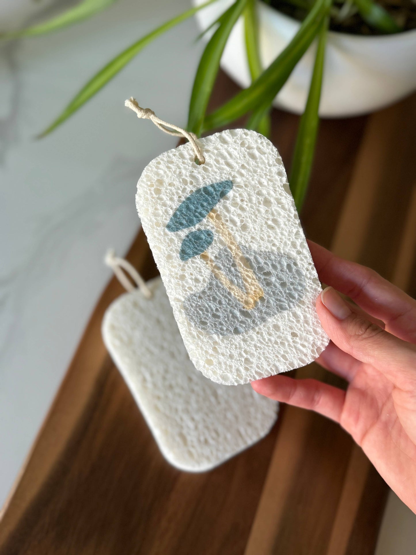 New Designs! Pop Up Dish Sponges 3-Pack