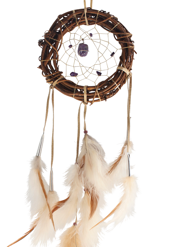 6" Twig Dream Catcher with Amethyst Stones