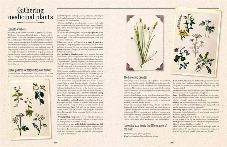 100 Plants That Heal: Illustrated Herbarium Medicinal Plant