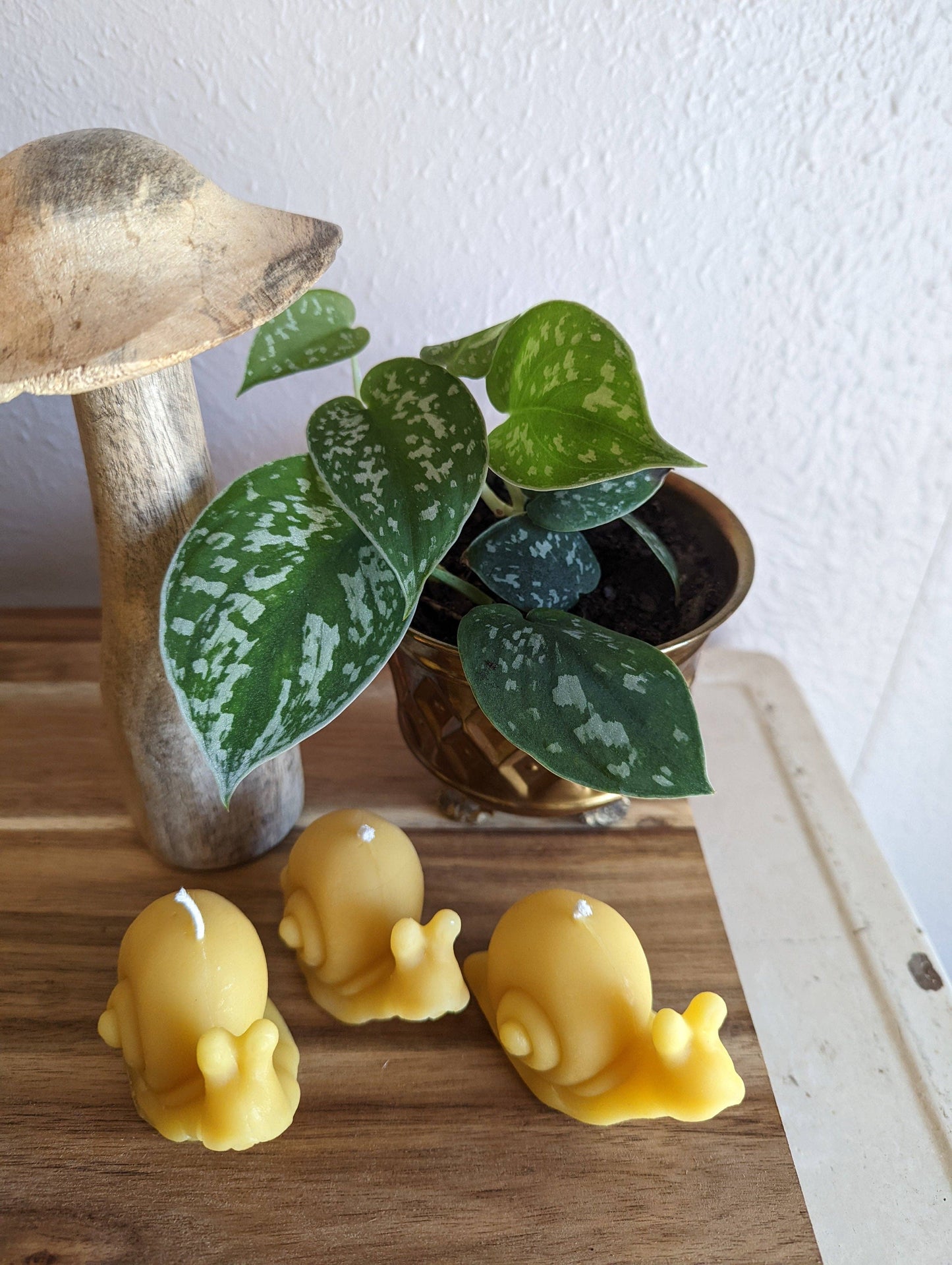 Snail Beeswax Candle