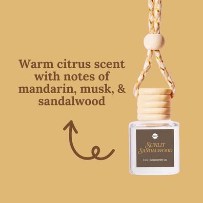 Car Diffusers | Core Scents (NEW 2026)