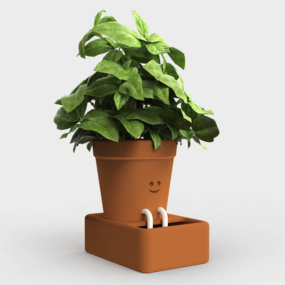 Self Care Planter | Self Watering Plant Pot