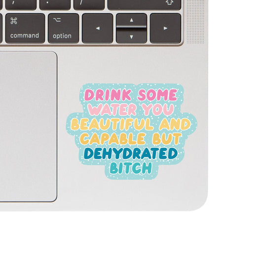 Drink Some Water You Bitch Sticker