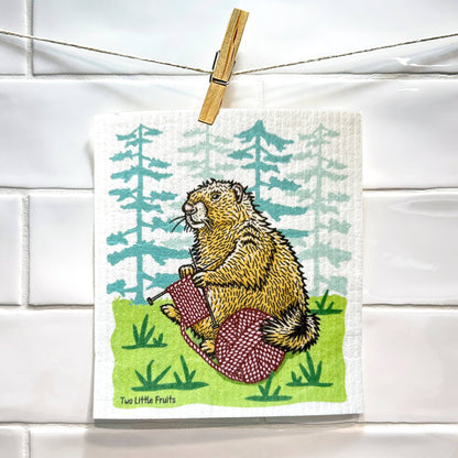 Cute Knitting Swedish Dishcloth