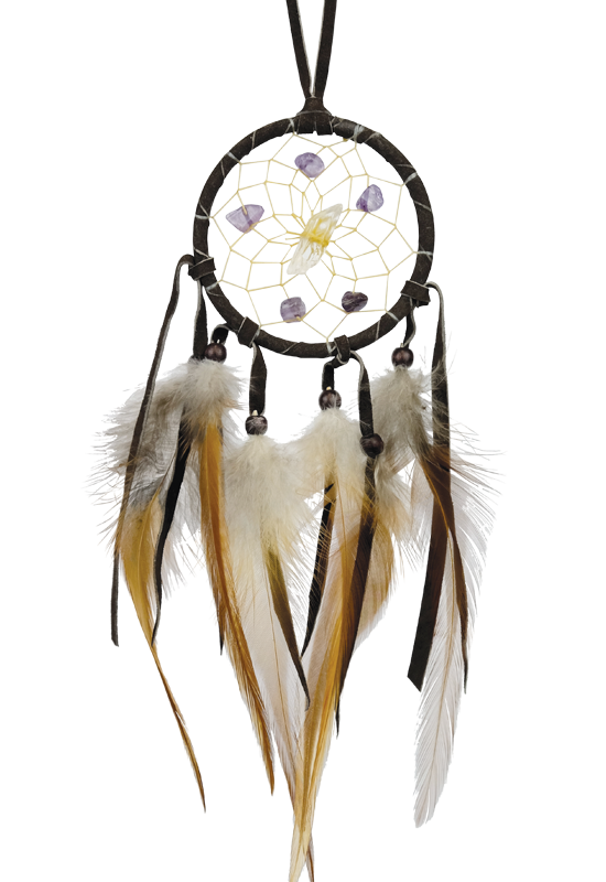 2.5" Dark Brown Vision Seeker