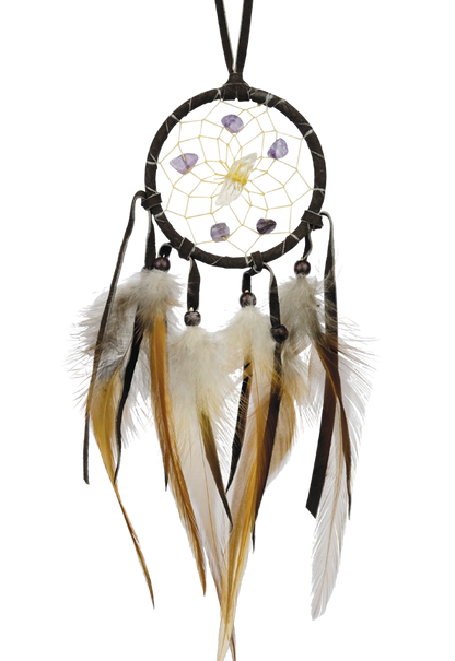 2.5" Dark Brown Vision Seeker