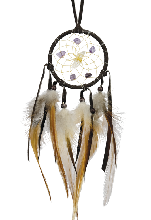 2.5" Dark Brown Vision Seeker