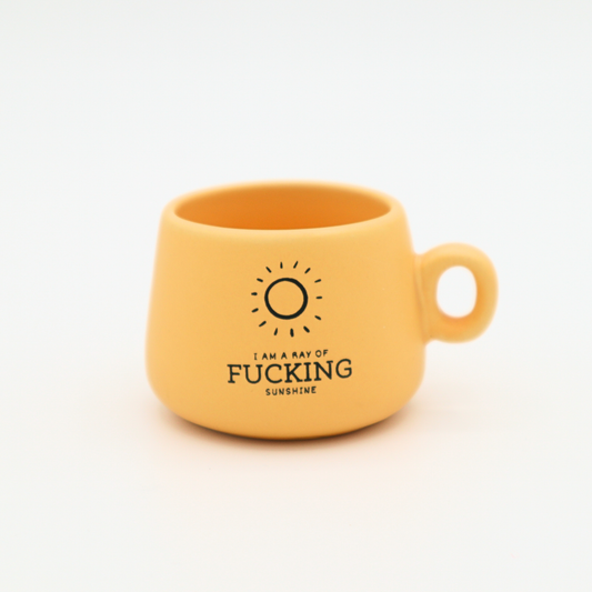 Cappuccino Mug Shot Glass I Am A Ray of Fucking Sunshine