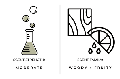 Stargazing Reed Diffuser