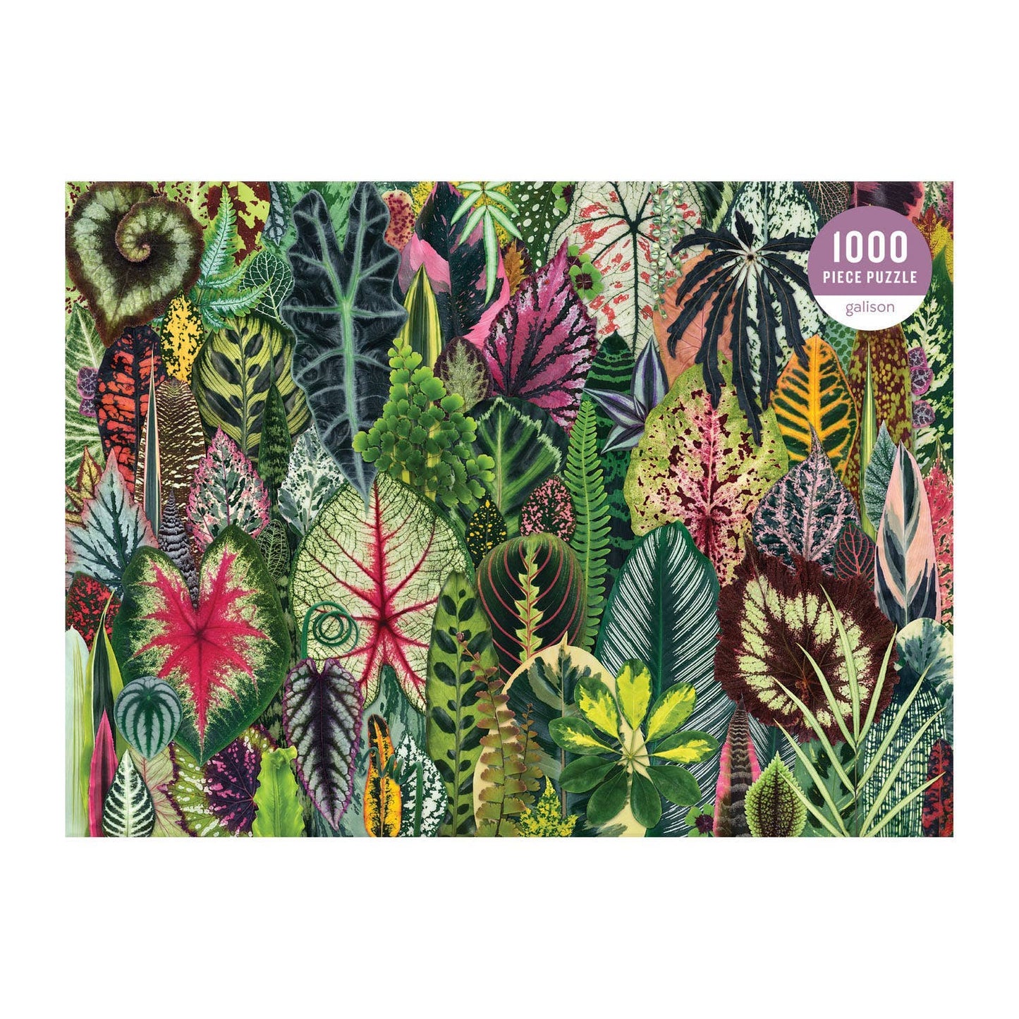 Houseplant Jungle 1000pc Puzzle