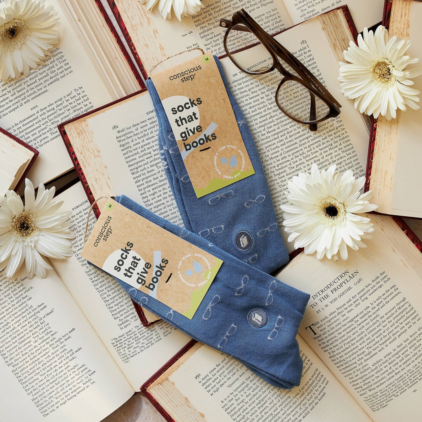 Socks that Give Books (Blue Glasses)