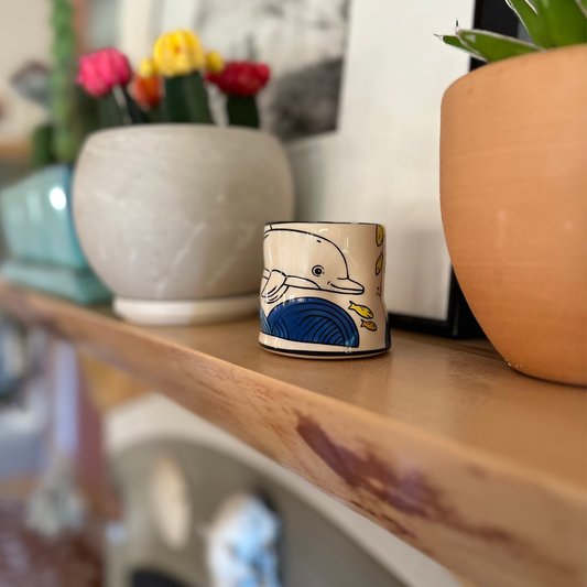 Lucky Dolphin Cup