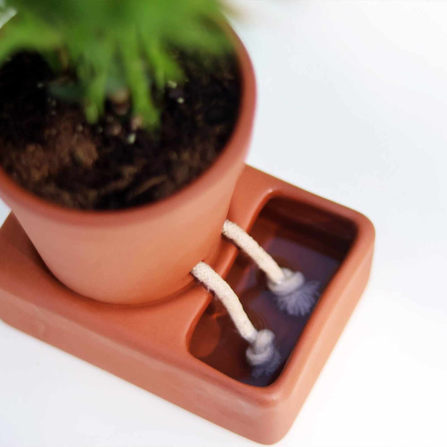 Self Care Planter | Self Watering Plant Pot