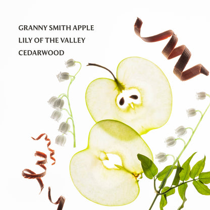 Applelicious Power Mist Hydrating Hand Sanitizer