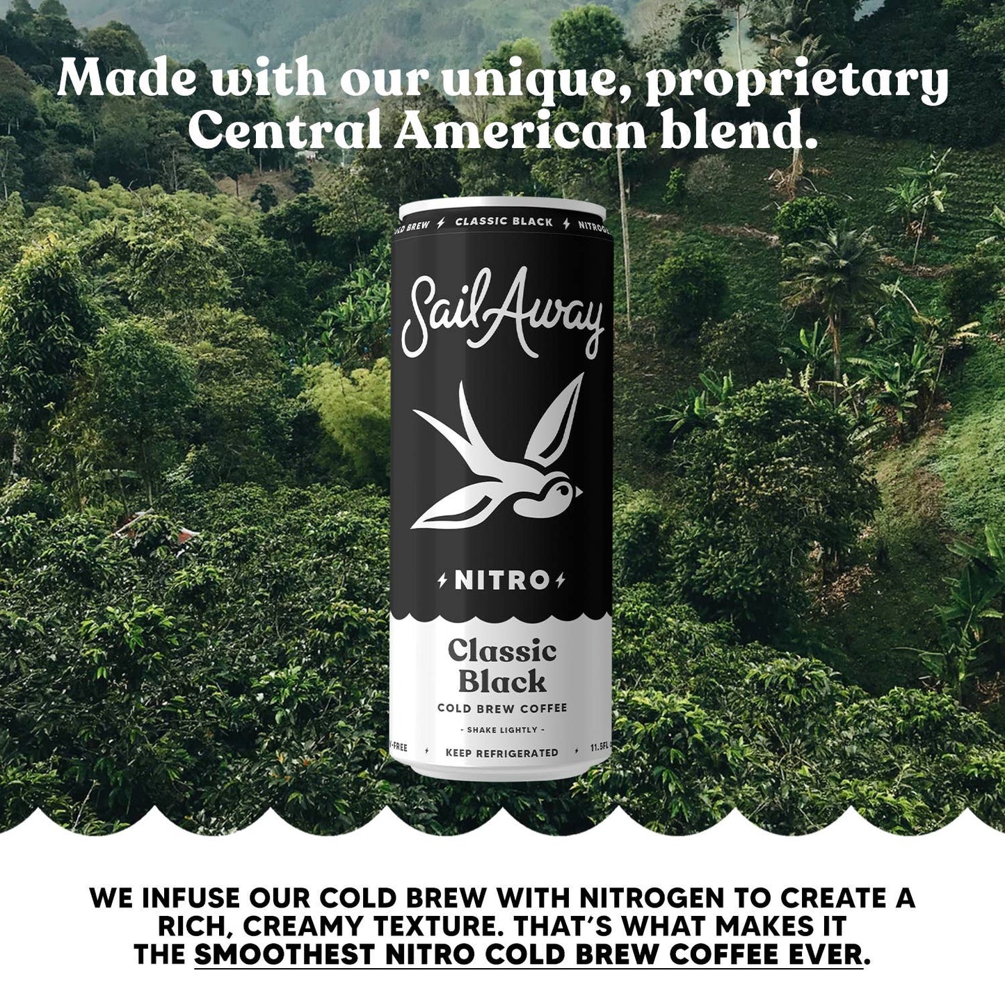 Cold Brew Coffee Cans - Classic Black