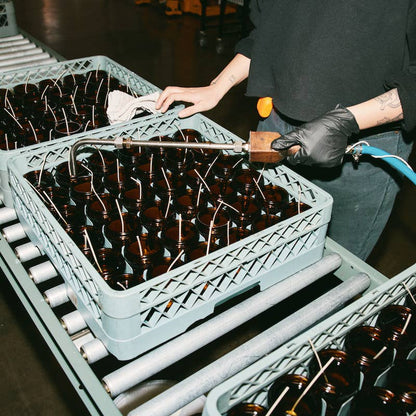 Patchouli Sweetgrass - 7.2 oz Standard Soy Candle