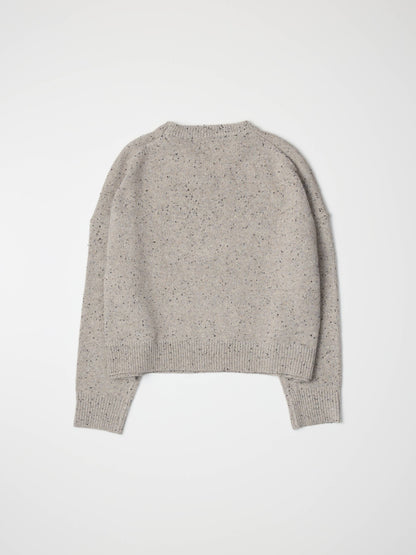 The Beck Confetti Sweater