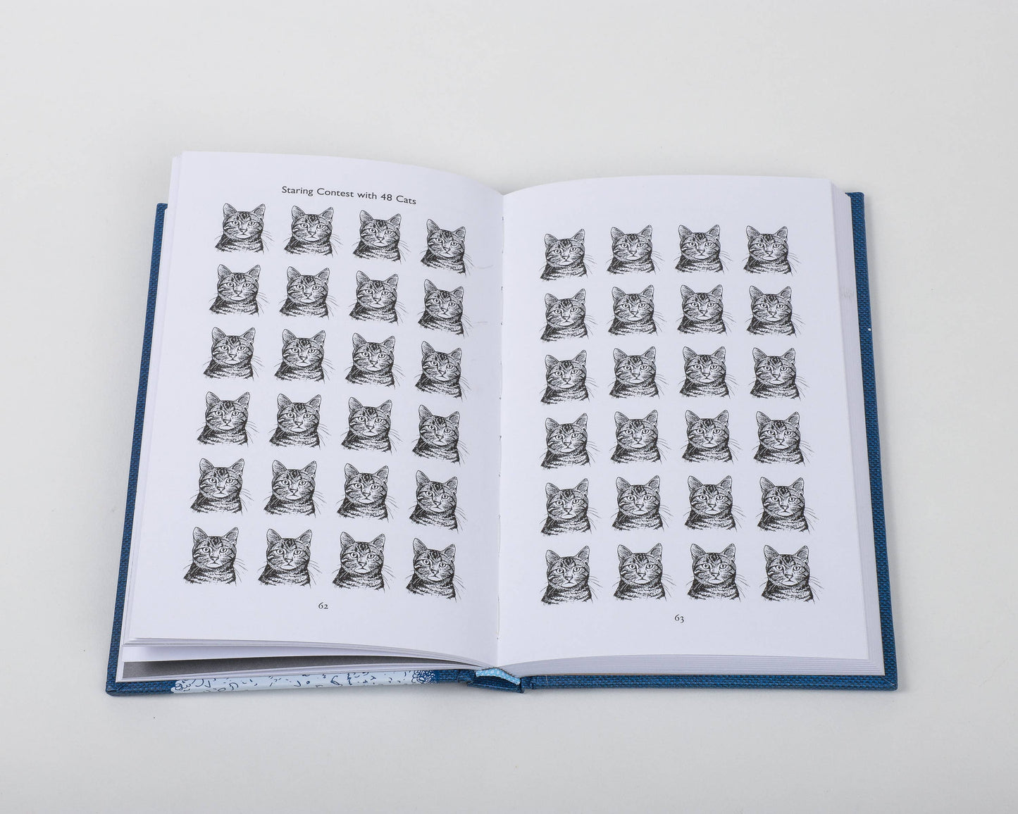 This Book Will Put You to Sleep