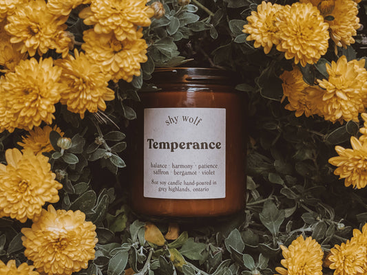 Temperance Tarot Candle - Bergamot, Saffron, Violet