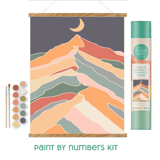 The Good Seed Minimalist Paint-by-Number Kit - Night Desert