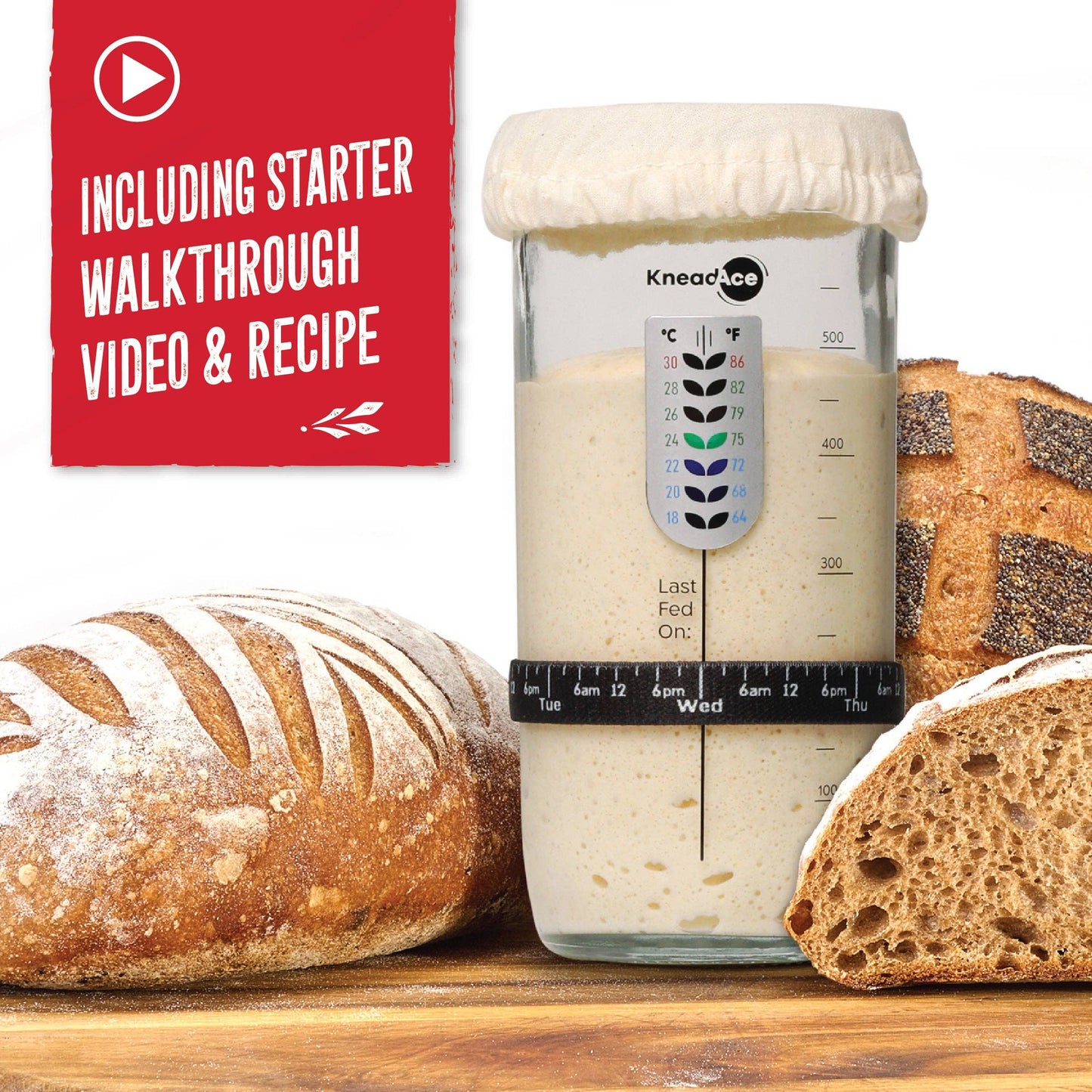 KneadAce® 24oz Sourdough Starter Jar